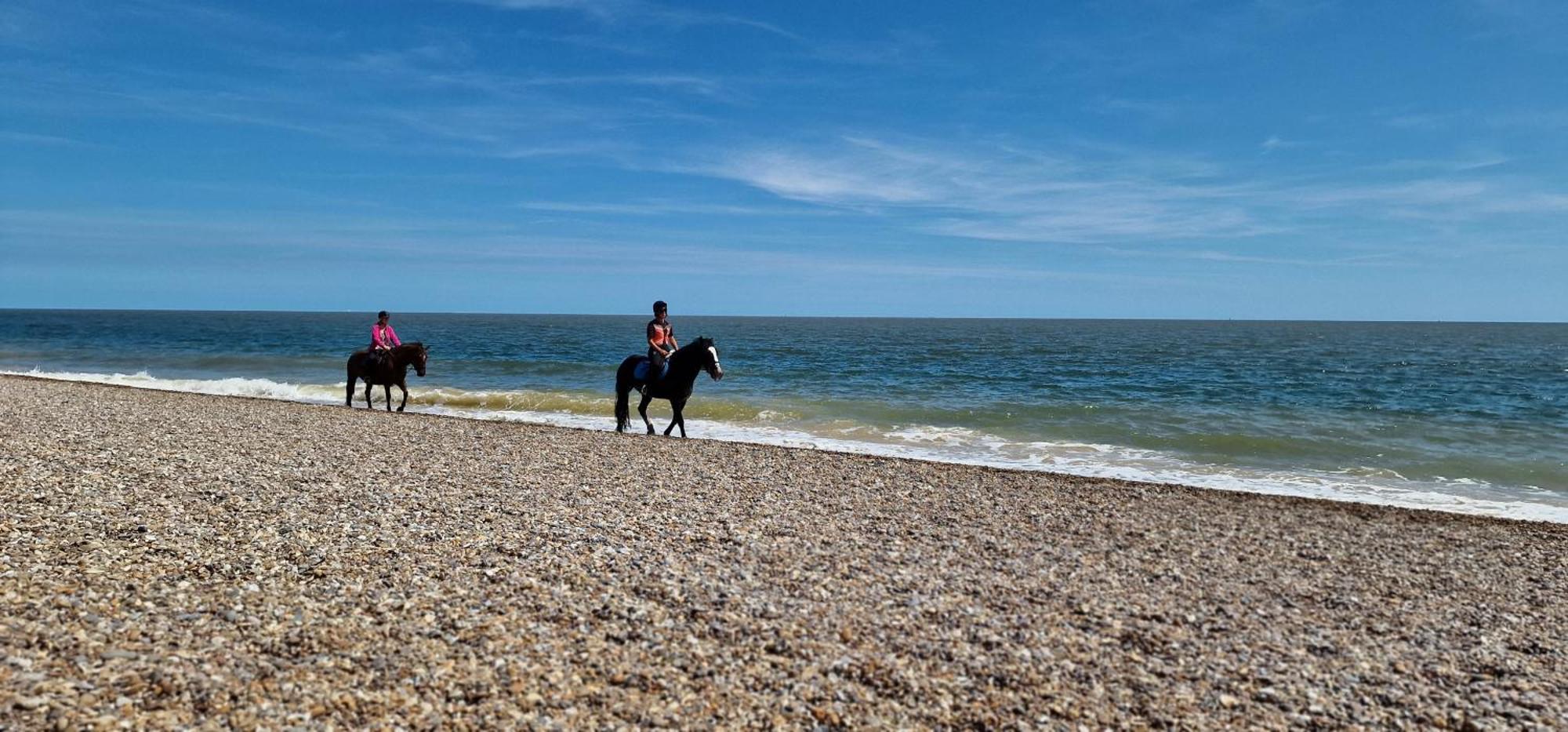 Seagull Cottage - Suffolk Coastal Escapes Pakefield Dış mekan fotoğraf
